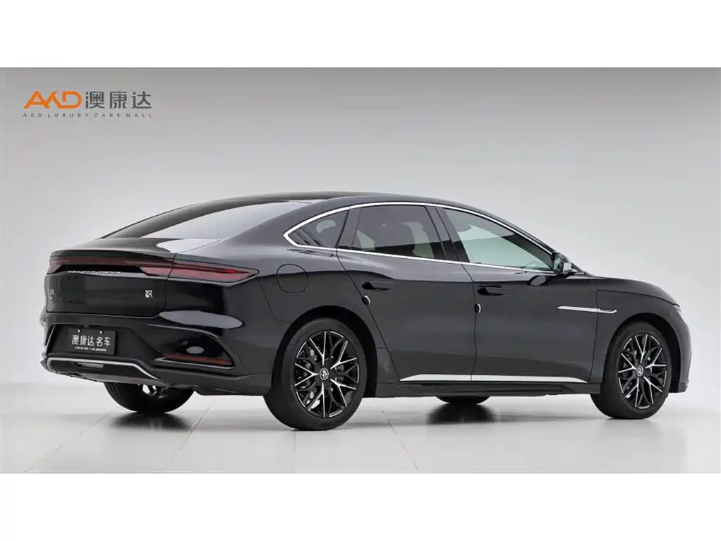Han 比亚迪汉/1.5 T/25款/DM-i 125 KM尊贵型