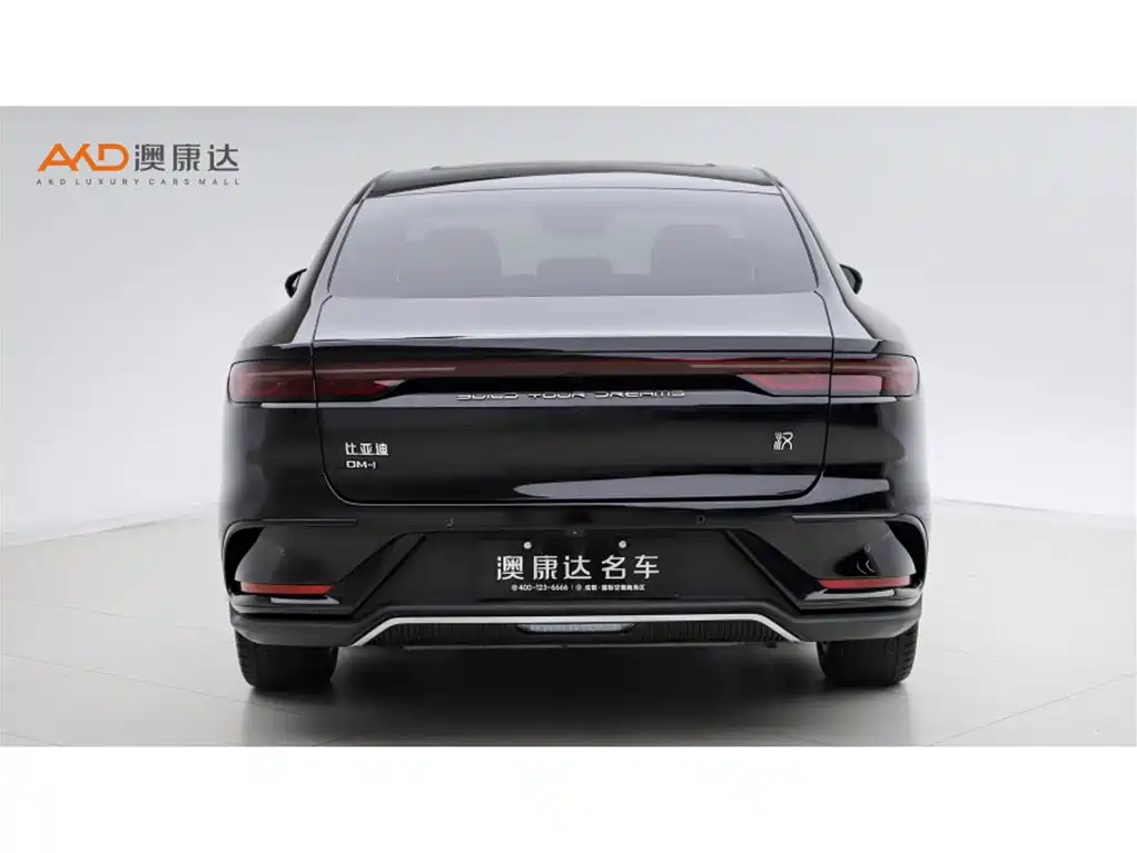 Han 比亚迪汉/1.5 T/25款/DM-i 125 KM尊贵型