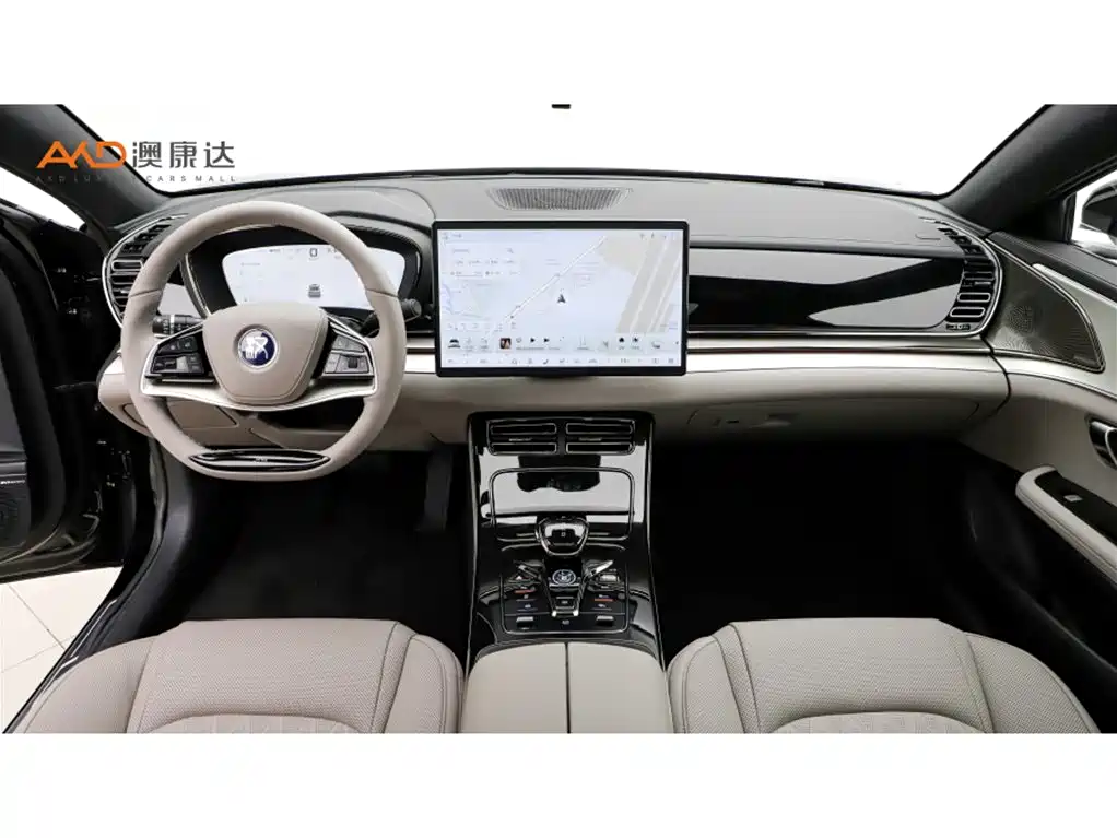 Han 比亚迪汉/1.5 T/25款/DM-i 125 KM尊贵型