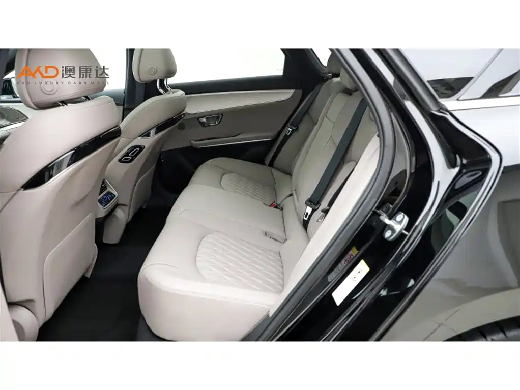 Han 比亚迪汉/1.5 T/25款/DM-i 125 KM尊贵型