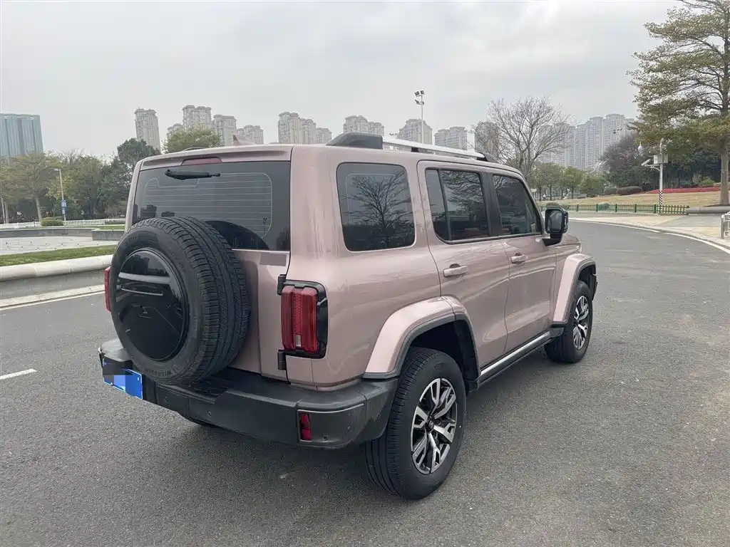 Tank 300 City 2.0 T Very