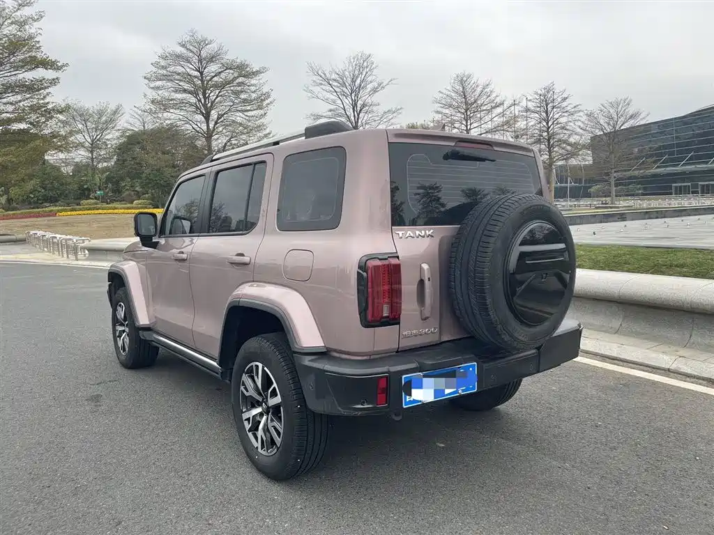 Tank 300 City 2.0 T Very