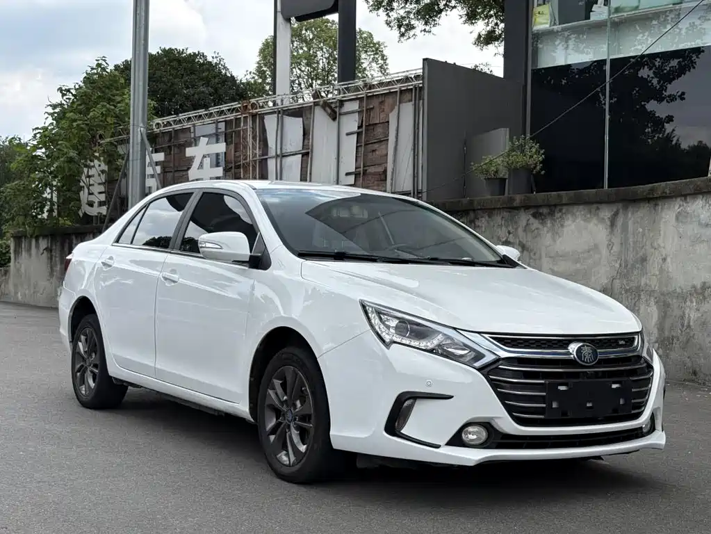 Qin NEV 1.5 T 100