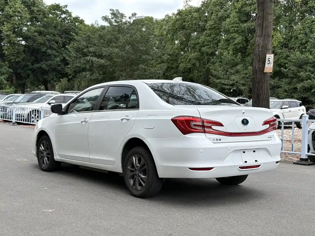 Qin NEV 1.5 T 100