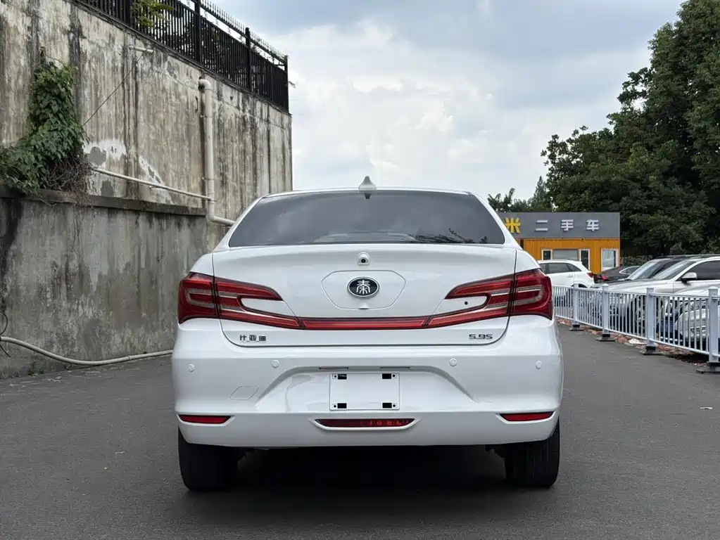 Qin NEV 1.5 T 100
