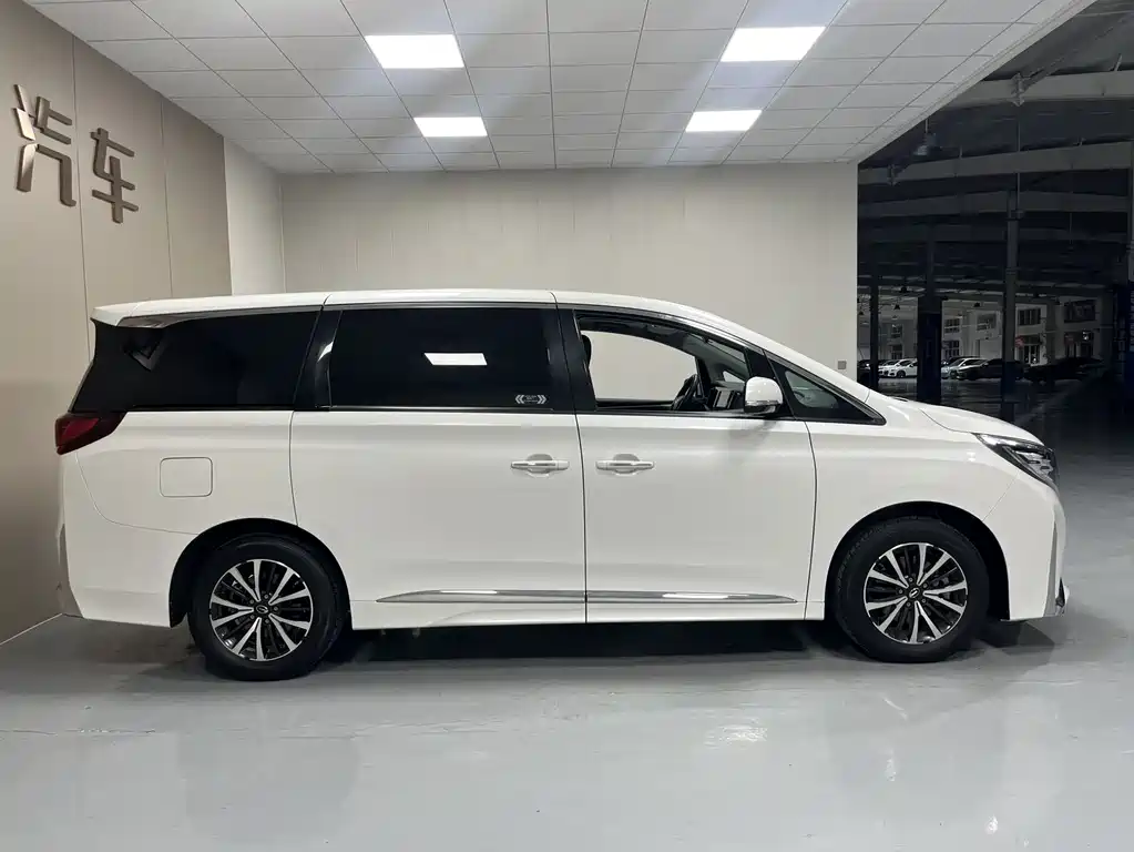 GAC Trumpchi M8 Leading Show Series 390 T Premium