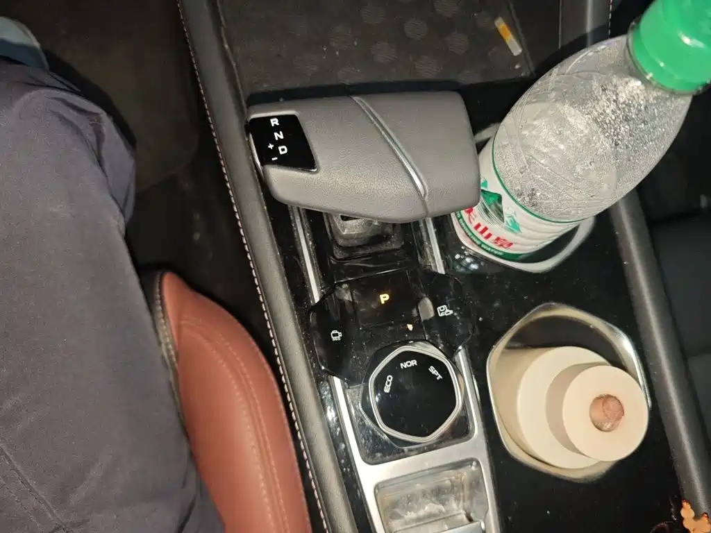 Eado Smooth Enjoyment PLUS Blue Whale NE 1.4 T GDI DCT Distinguished