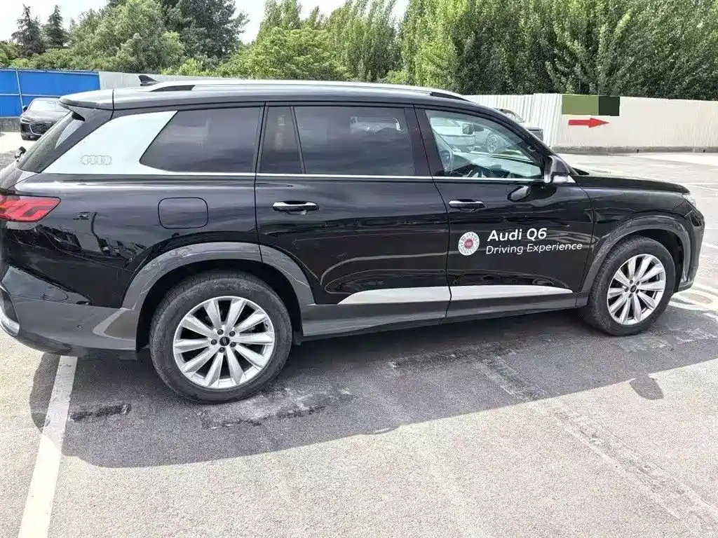 Audi Q6 45 TFSI quattro Qiyun Feather Package 6-seat