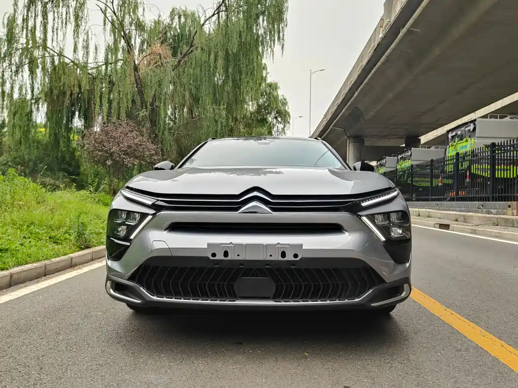 C5 X 1.6 T Extraordinary Enjoyment Tiger Year