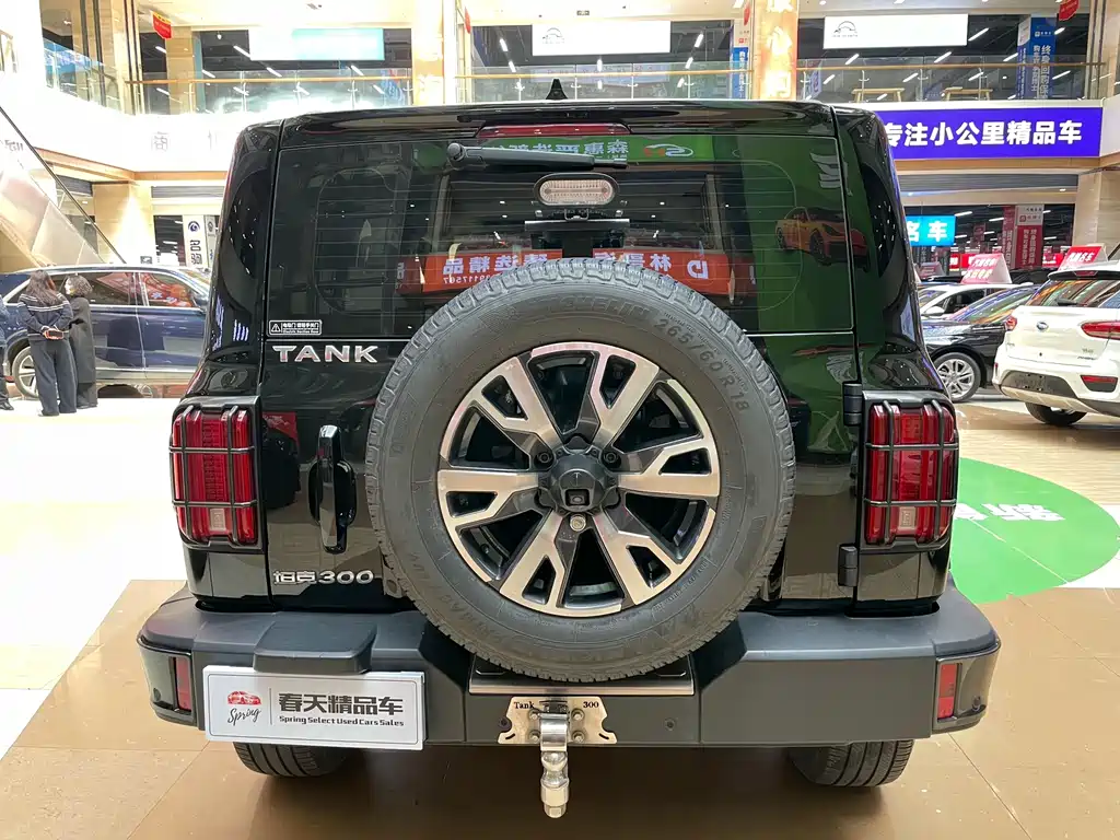 Tank 300 City 2.0 T Very