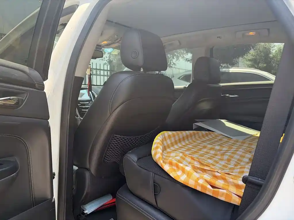 Grace 阁瑞斯 2020款 2.0 L G20旗舰型1 TZS