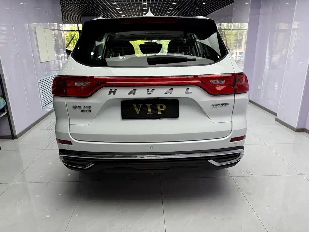 Haval M6 PLUS 1.5 T DCT Luxury Connected