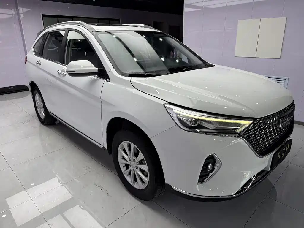 Haval M6 PLUS 1.5 T DCT Luxury Connected
