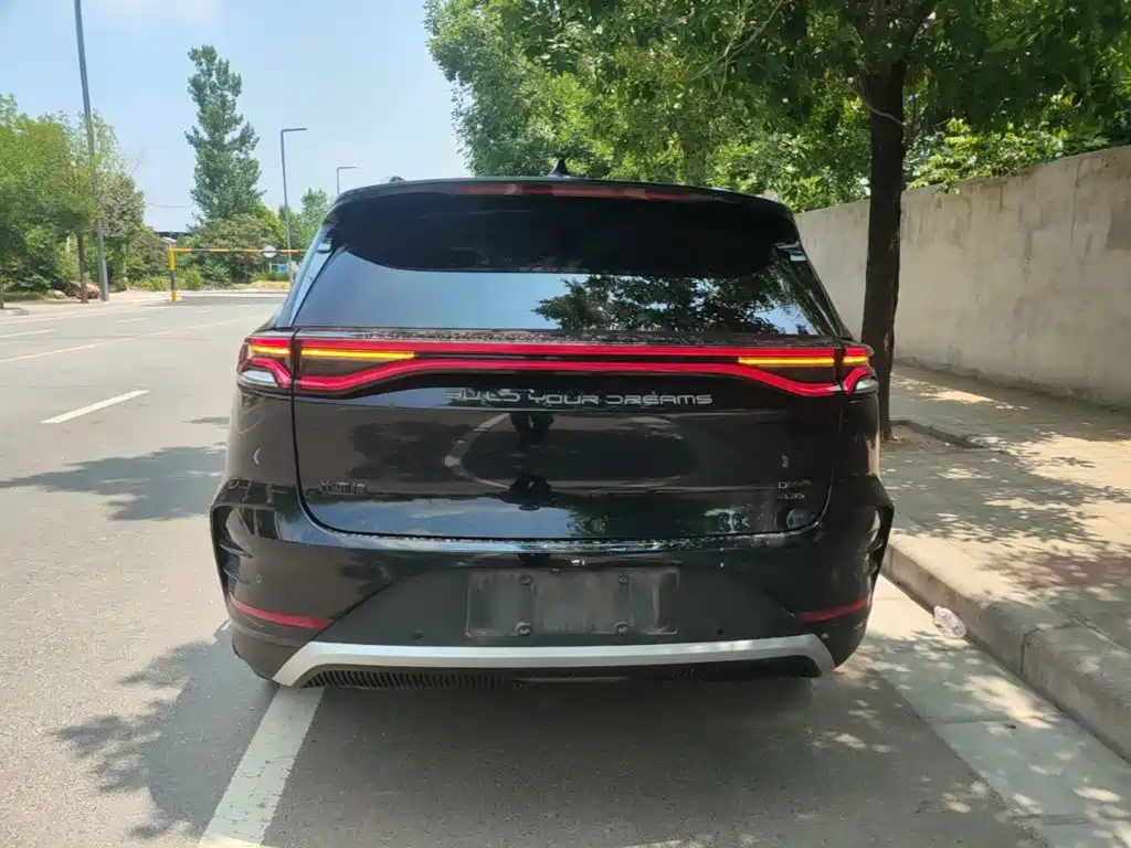 Tang NEV DM-p 215 KM 4 WD Flagship