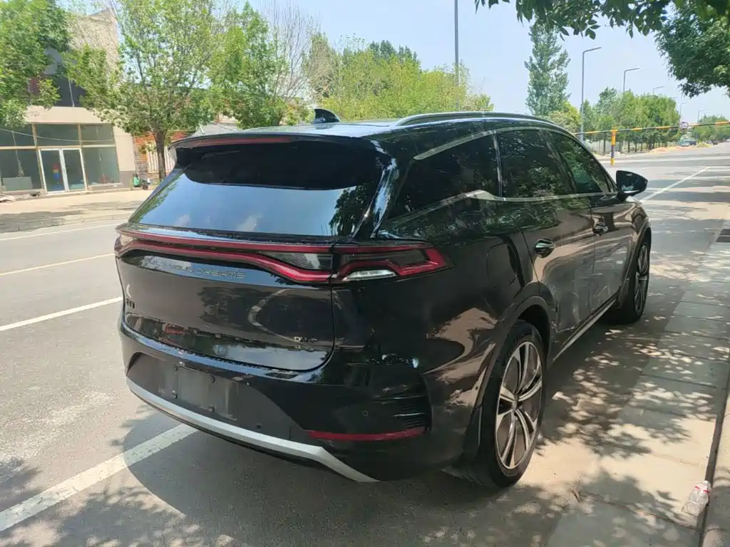 Tang NEV DM-p 215 KM 4 WD Flagship