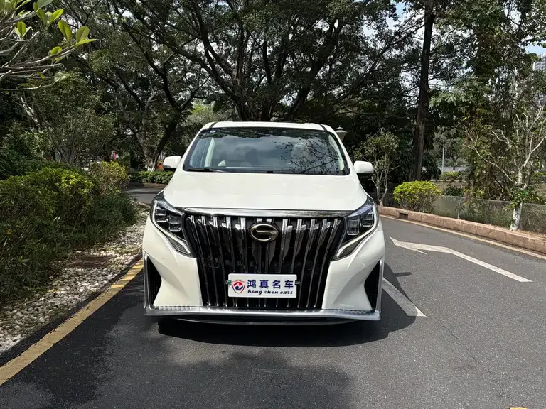 GAC Trumpchi M8 Master Series 390 T 4-seat Glory