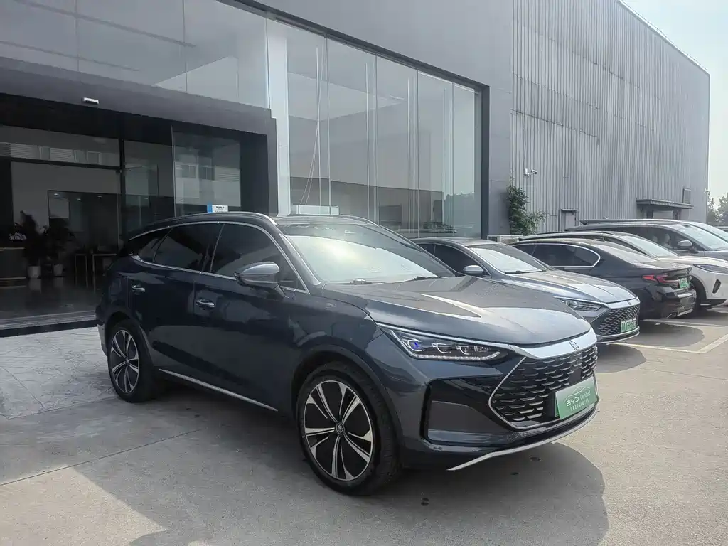 Tang NEV DM-p 215 KM 4 WD Flagship