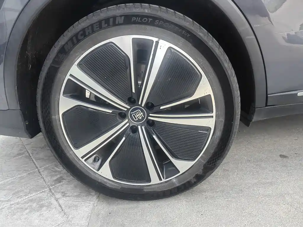Tang NEV DM-p 215 KM 4 WD Flagship