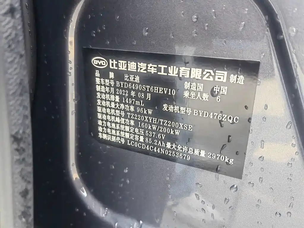 Tang NEV DM-p 215 KM 4 WD Flagship