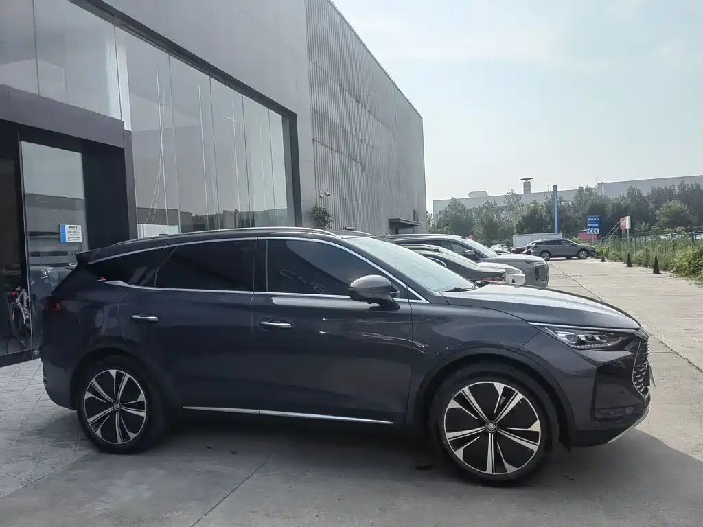 Tang NEV DM-p 215 KM 4 WD Flagship