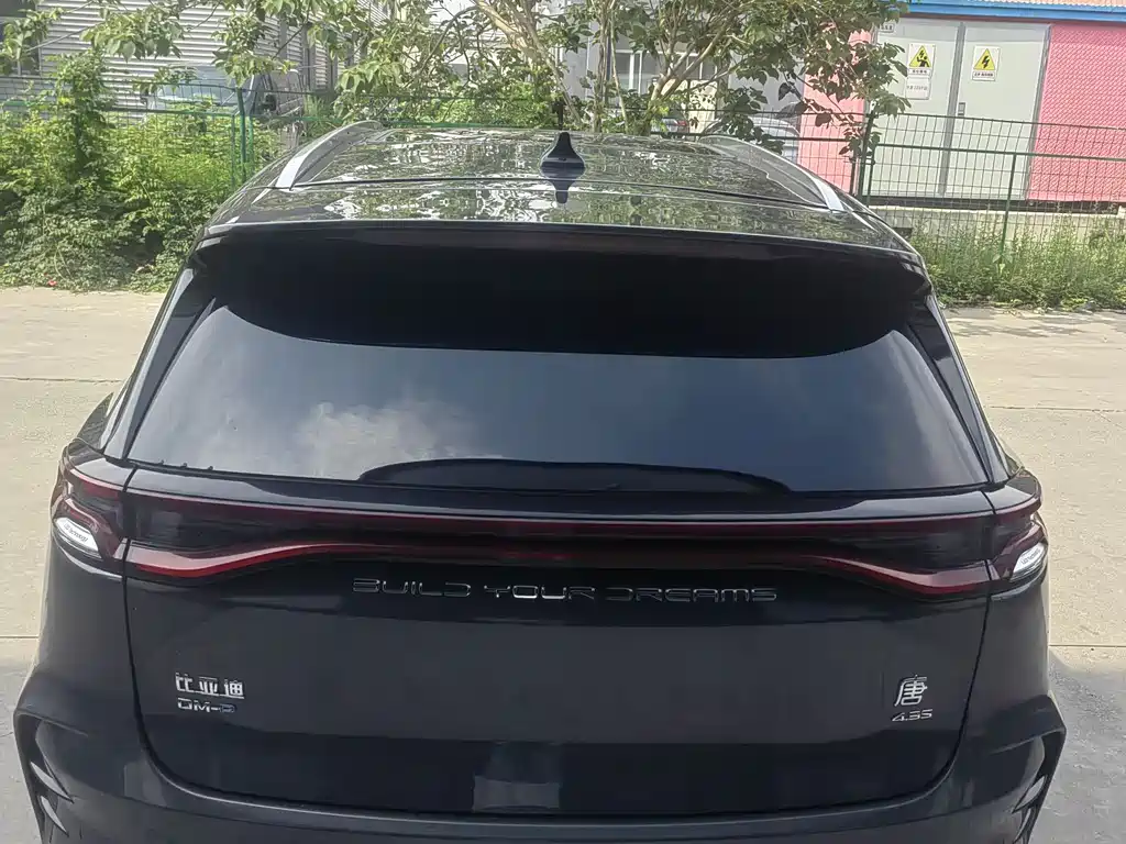 Tang NEV DM-p 215 KM 4 WD Flagship