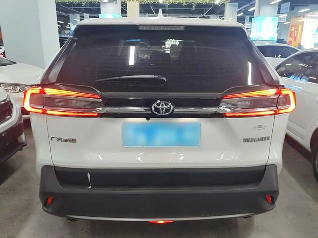 Wildlander 2.0 L CVT 2 WD Leading