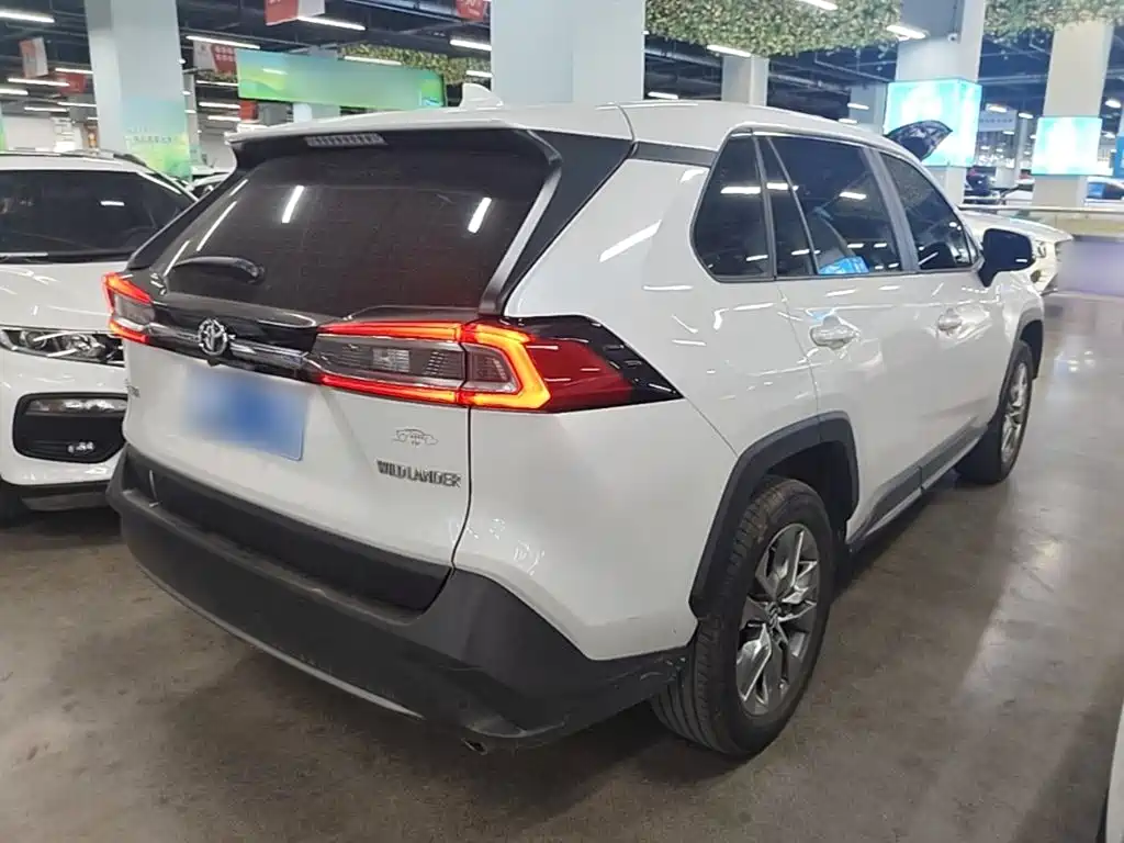 Wildlander 2.0 L CVT 2 WD Leading