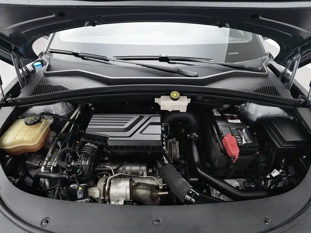 Song PLUS 1.5 T Auto Flagship