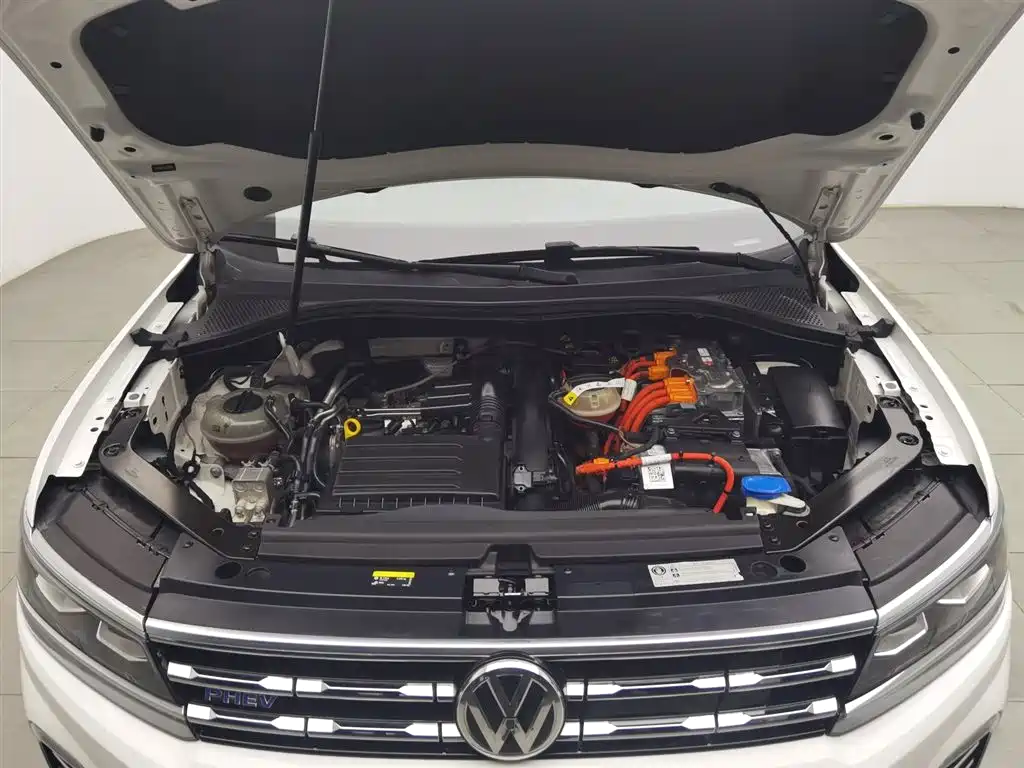 Tiguan L NEV 途观L插电混动 2019款 430 PHEV 混动旗舰版