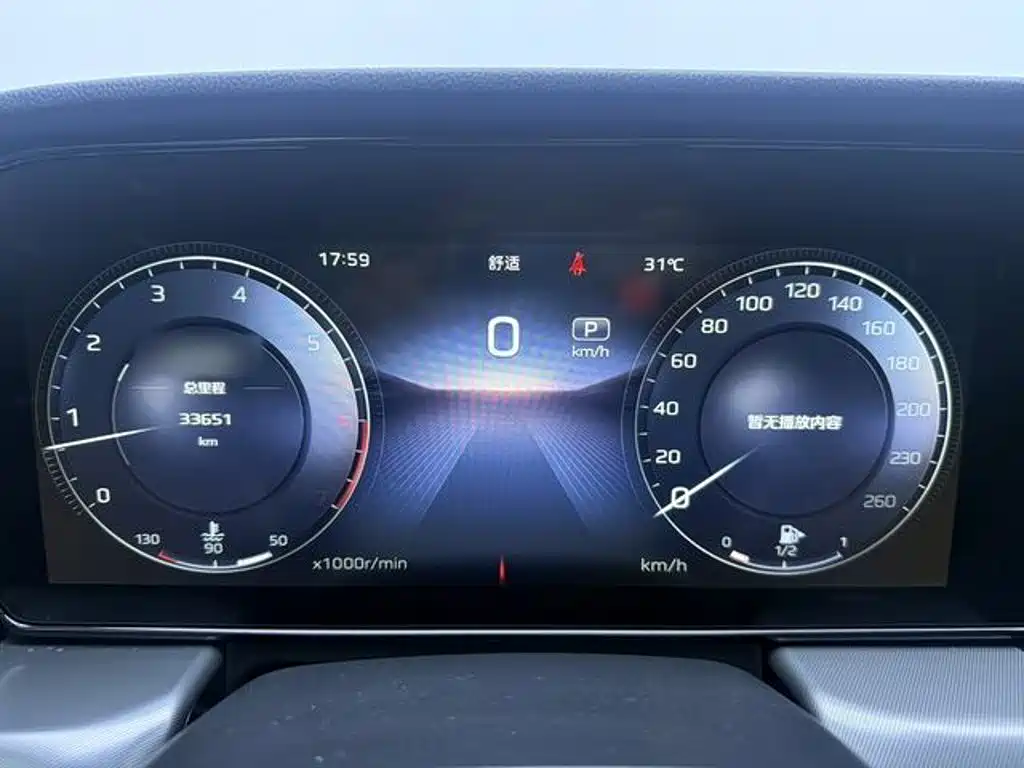 Hongqi HS5 2.0 T Flagship Enjoyment Pro