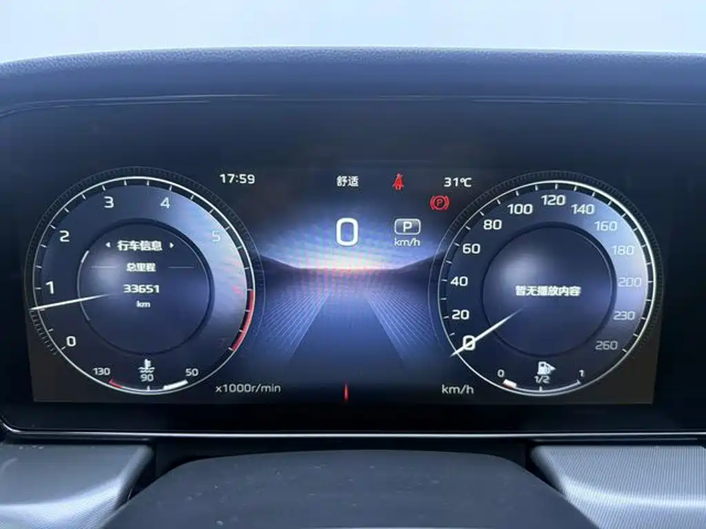 Hongqi HS5 2.0 T Flagship Enjoyment Pro