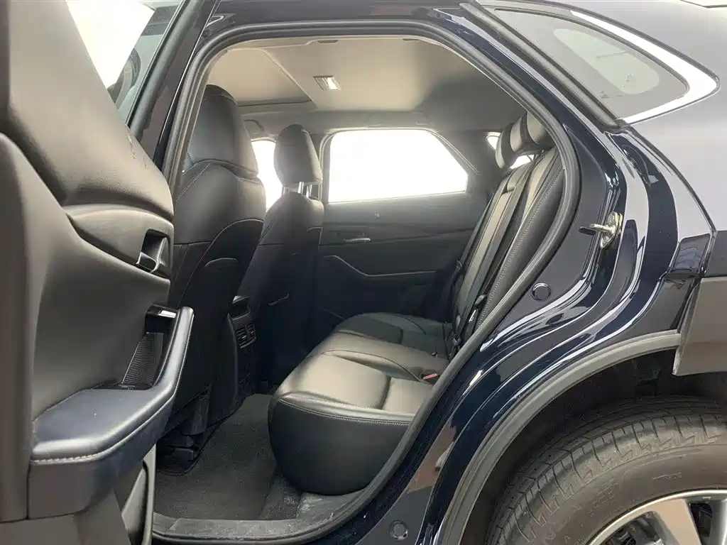 Mazda CX-30 2.0 L Auto Elegant Joy