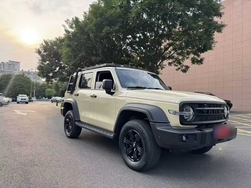Tank 300 2.0 T Gasoline Conqueror