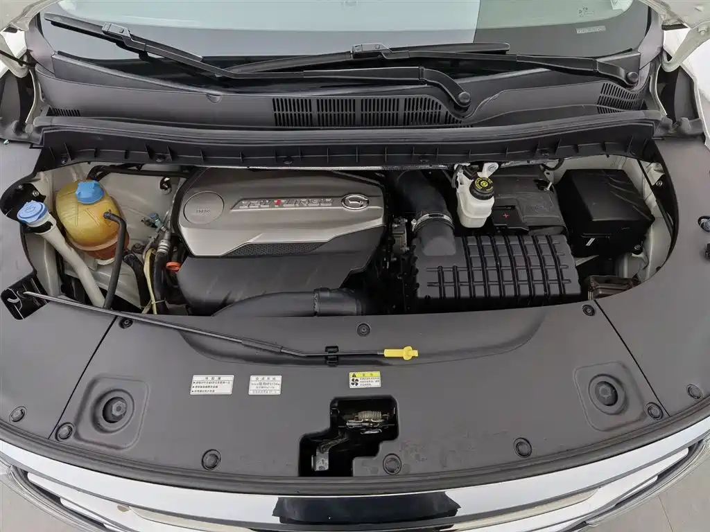 GAC Trumpchi M8 320 T Flagship