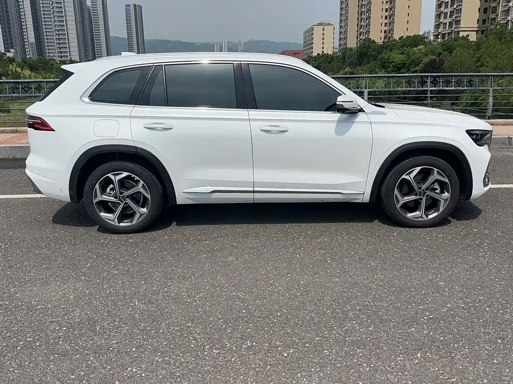 Xingyue L 2.0 TD DCT EVO 2 WD Long Wind