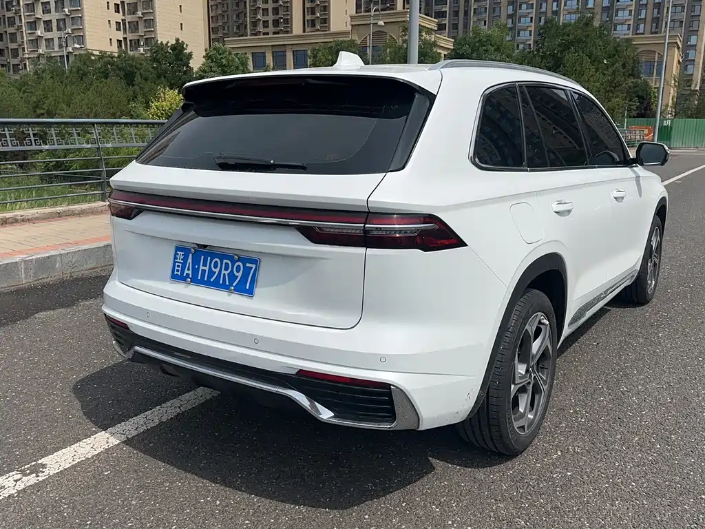 Xingyue L 2.0 TD DCT EVO 2 WD Long Wind