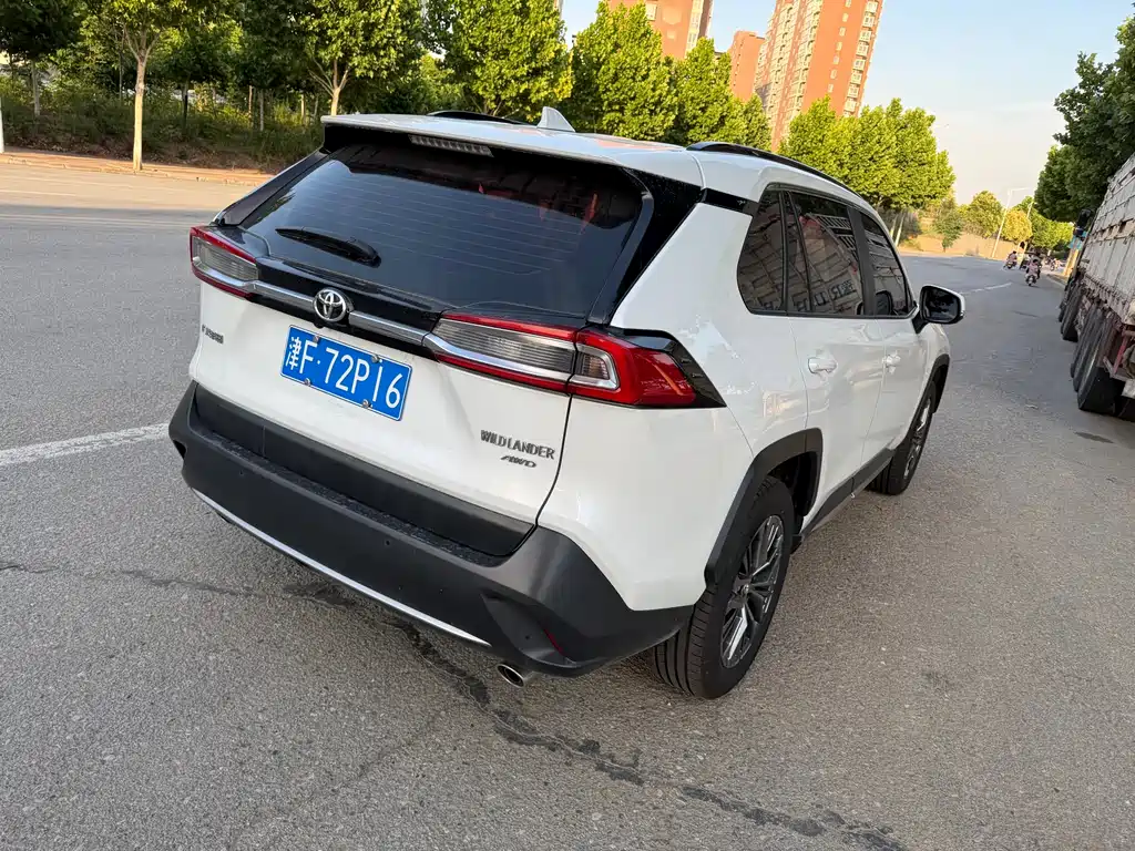 Wildlander 2.0 L CVT 4 WD Luxury PLUS