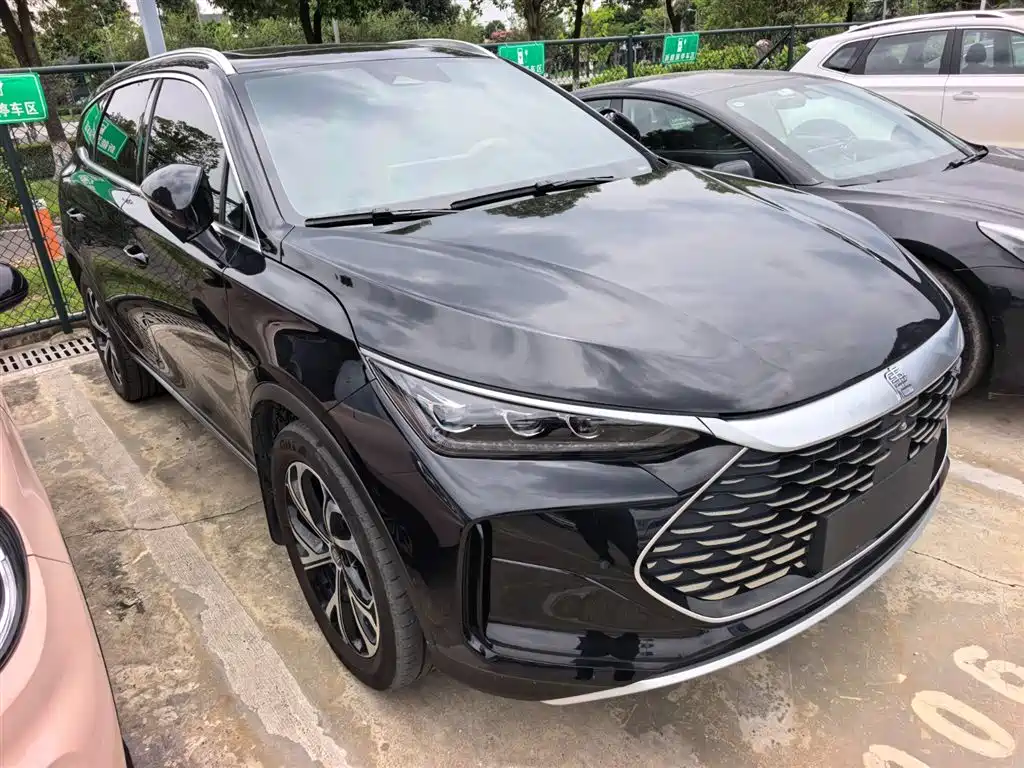 Tang NEV DM-i 115 KM Flagship