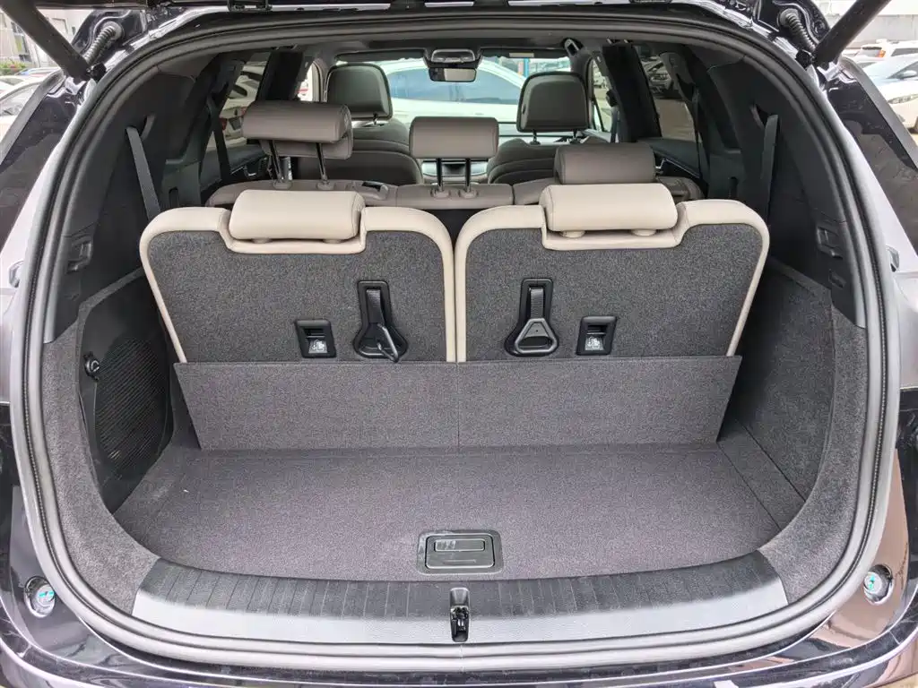 Tang NEV DM-i 115 KM Flagship