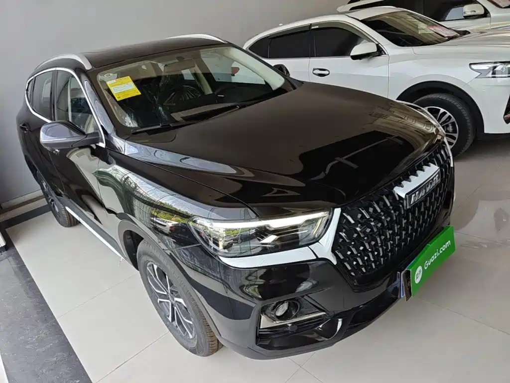 Haval H6 China Style 1.5 T Auto Urban