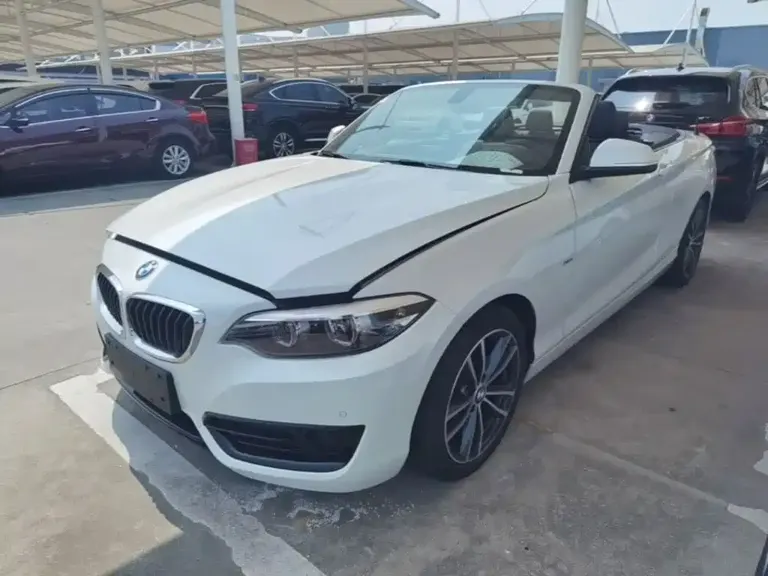 BMW 2 Series (Import) 220 i Convertible Coupe Sport Design Package