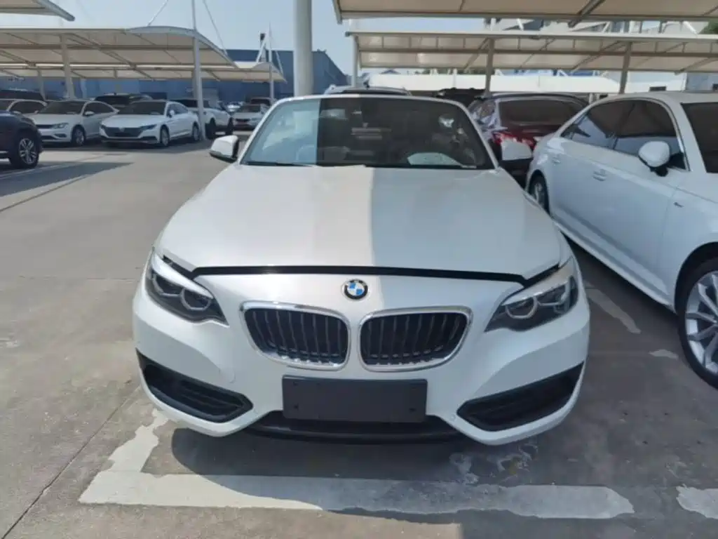 BMW 2 Series (Import) 220 i Convertible Coupe Sport Design Package