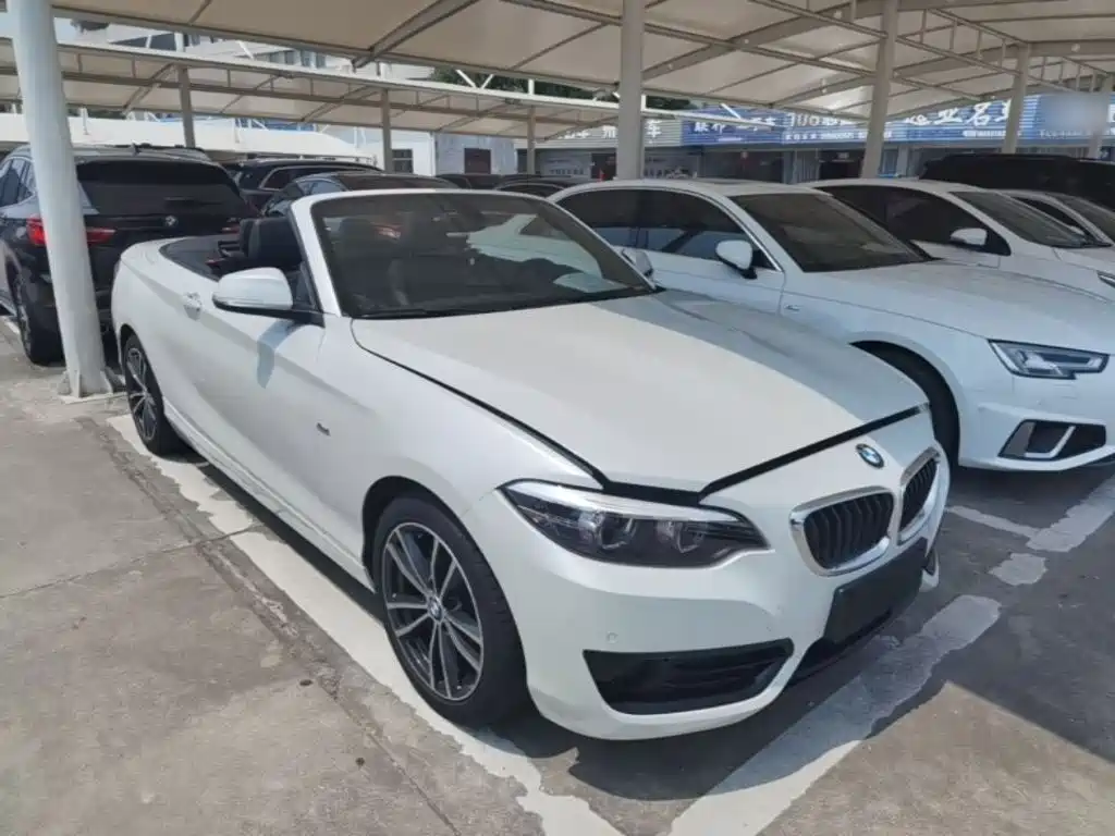 BMW 2 Series (Import) 220 i Convertible Coupe Sport Design Package