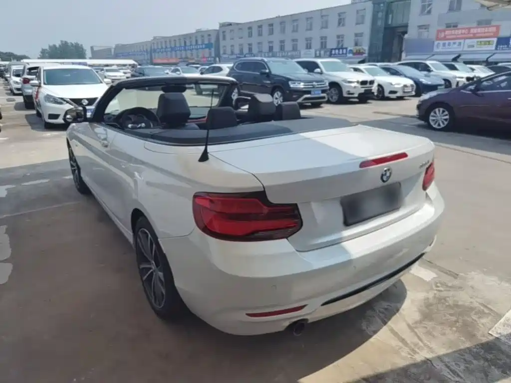 BMW 2 Series (Import) 220 i Convertible Coupe Sport Design Package