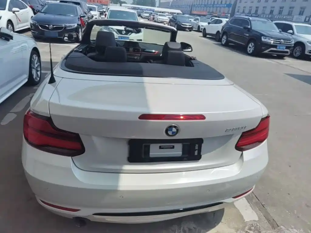 BMW 2 Series (Import) 220 i Convertible Coupe Sport Design Package