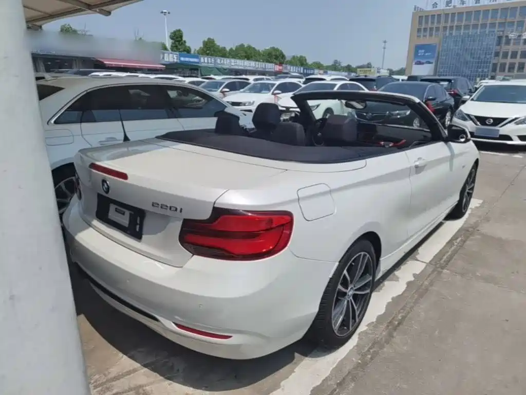 BMW 2 Series (Import) 220 i Convertible Coupe Sport Design Package