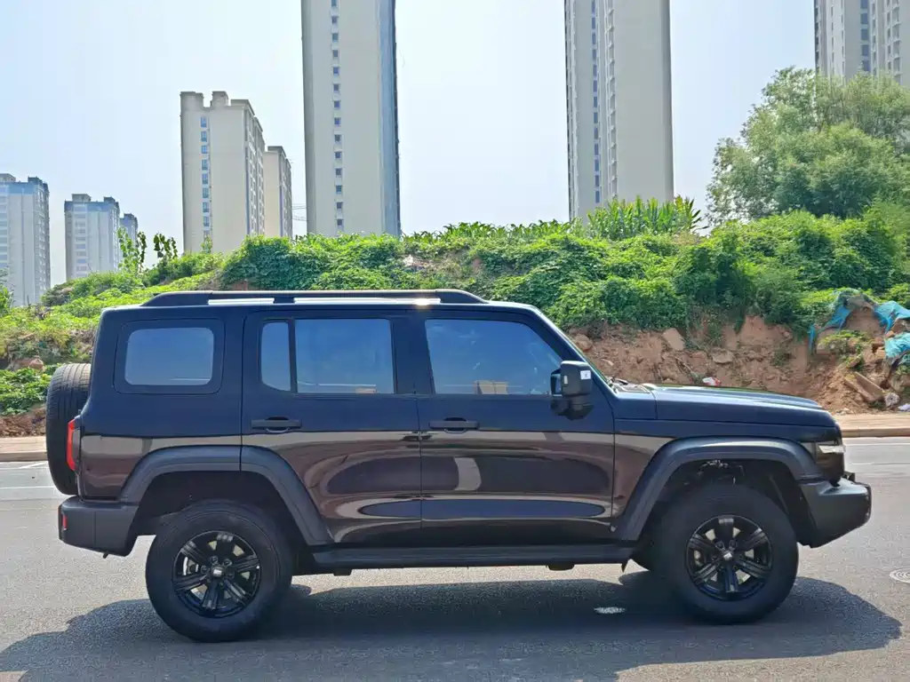 Tank 300 Offroad 2.0 T Conqueror