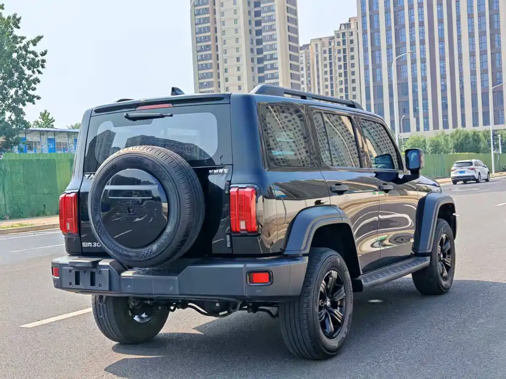Tank 300 Offroad 2.0 T Conqueror