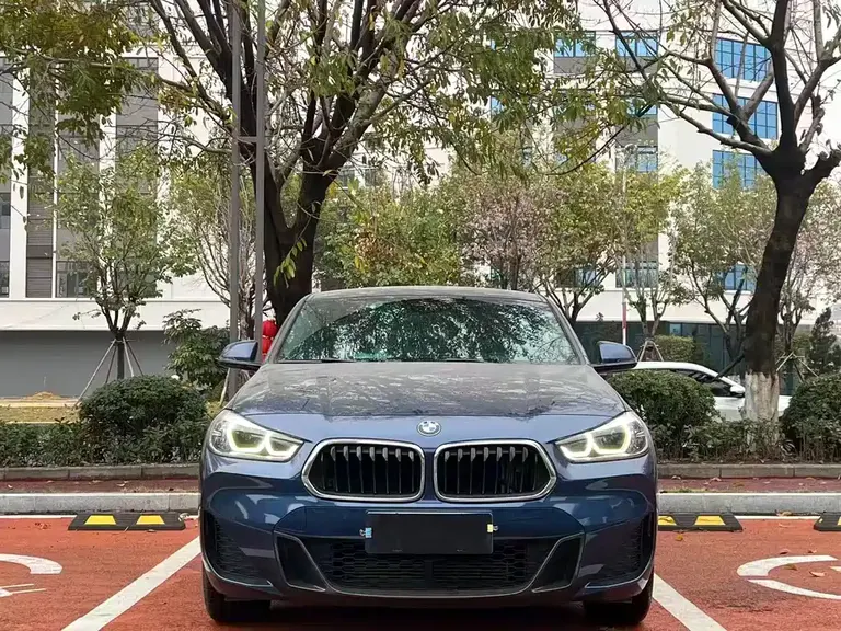 BMW X2 xDrive25 i M Sport Package