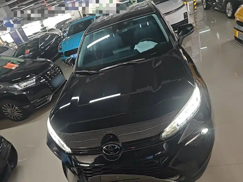 Wildlander 2.0 L CVT 2 WD Leading